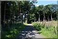 Woodland Track near Hoghton Tower in PR5 0RY