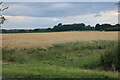 Field by Cambridge Road, Harlton in CB23 1EU