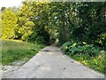 Paved track entering Hawley Common in GU17 9HZ
