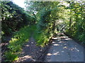 Forest Lane diverging from the road to Crock Street in TA20 3BH