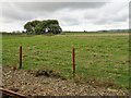 View from a Romney-Dungeness train - Fields and Sewers in TN29 0JW