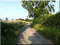 Nash's Lane near Nash's Farm in NR28 9NX