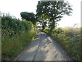 Looking towards Nash's Farm on Nash's lane in NR28 9NX