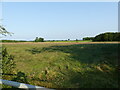 Grass field at Nash's Farm in NR28 9NX