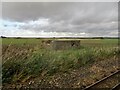 View from a Romney-Dungeness train - Old Pillbox near St. Mary's Bay in TN29 0AP