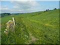 Footpath from Lucy Lane to Lepton Thorn, Lepton in HD8 0NJ