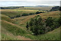 Coal Cleugh north of Bremenium in NE19 1RD