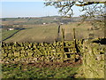 Footpath from Stone Stile to Lea Hall in NE47 9QZ