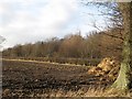 Ploughed field, Forgandenny in PH2 9HR