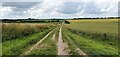 Track through farmland to Shepherds Corner in SP4 6AD