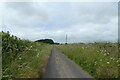 Road towards North Burton Lane in YO14 0JE