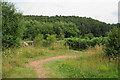 Junction of paths in Peter Fidler Nature Reserve in S44 6BT