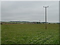 Grassland and poles towards Ovenstone Muir in KY10 2RR
