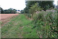 Footpath to Mitford Bridge in CV36 5AP