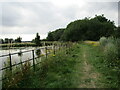 Footpath across the dam, Cuckney in NG20 9NL