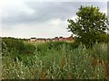 Housing to the east of the site of Newdigate Colliery in CV12 0LY