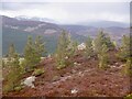 View north from Creag Choinnich in AB35 5YW