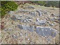 Limestone outcrop, Creag Choinnich in AB35 5YW