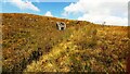 Limekiln near spring on south side of East Baugh Fell in Garsdale