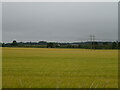 Cereal crop, Smallbank in AB30 1XE
