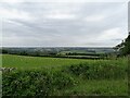 Countryside view from Humberhill Lane in Lanchester