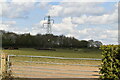 Pylon near Bourne Grange Farm in TN11 0ER
