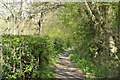 Footpath to Stallion's Green in TN11 0ER