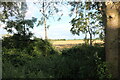 Field and woodlands by Ely Road north of Waterbeach in CB25 9FX