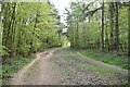 Track, Clearhedges Wood in TN11 9RG