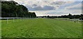 Looking down Salisbury racecourse in SP2 8PN