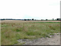 Cereal field as seen from Lay-by in NR28 0PY