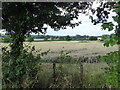 Field at Harvil Farm in UB10 8AW