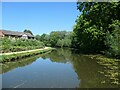 Cyclist on the Bridgewater Canal towpath, Norton in WA7 6QP