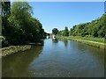 Bridgewater Canal, between bridges 80 and 81 in WA7 2SS