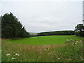 Grazing and woodland, Lucklawhill in KY16 0BL