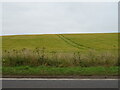 Cereal crop, Dron in KY15 4SR