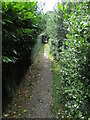 Footpath near Broke Hall, Ipswich in IP3 8RQ