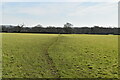 Footpath crossing field in RH7 6JH