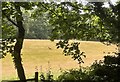 Field at Marley Heights in GU27 3LT