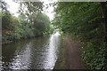 Birmingham & Fazeley Canal towards Willday's Farm Bridge in B76 9QA