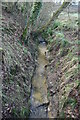 A small stream near Cork Wood in TN12 7AT