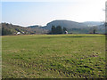 Pasture north of Shapridge in GL17 0DZ
