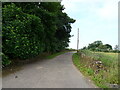 Road to Nether Tulloes in DD8 2LZ