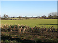Farmland northeast of Long Lane in NR12 8RP