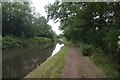 Birmingham & Fazeley Canal towards Drayton Foot Bridge in B78 3TG