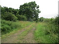 Farm  track  alongside  Coatham  Wood in TS21 1AJ