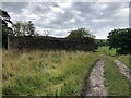 Track running beside derelict stone building, near Higher Swanscoe Farm in SK10 5TA