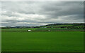 Crop field towards the B9129 in KY15 7PZ