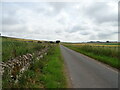 Minor road approaching East Mains of Dunnichen  in DD8 2NY