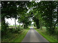Road to Tilliwhanland Farm in DD8 2UY
